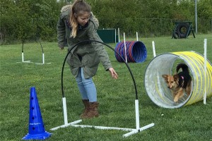 Hoopers Agility